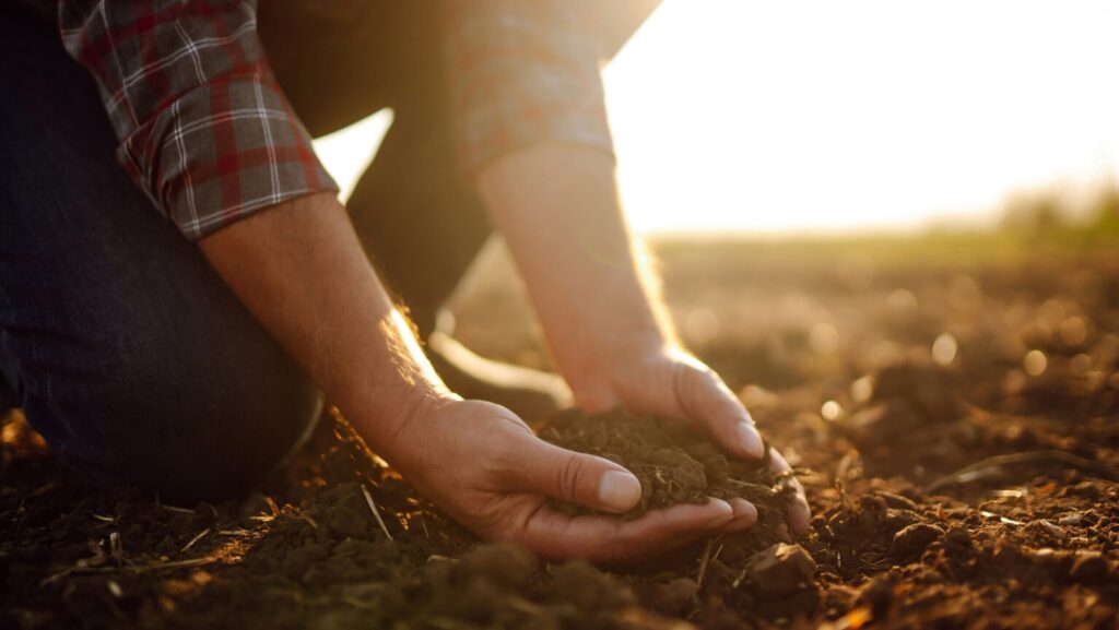 Person in field